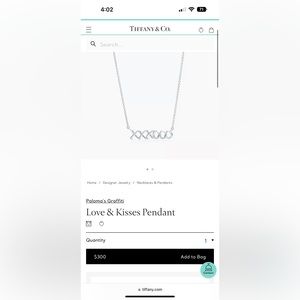 Tiffany and Co. necklace